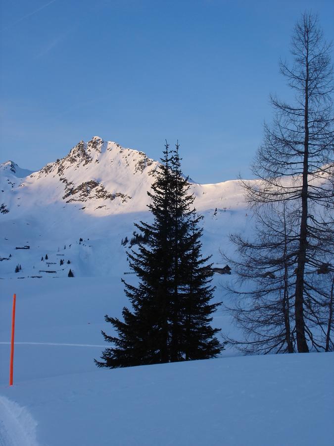 Welcome-Bienvenue-Добро Пожаловать Flachau Eksteriør billede